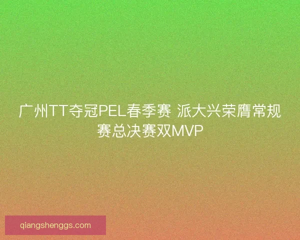 广州TT夺冠PEL春季赛 派大兴荣膺常规赛总决赛双MVP