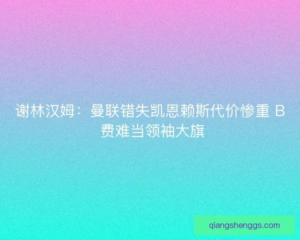 谢林汉姆：曼联错失凯恩赖斯代价惨重 B 费难当领袖大旗